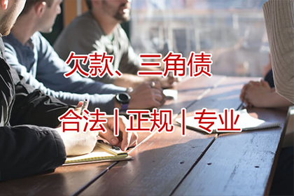 卢龙讨债公司